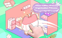 Organization Princess